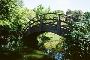 Wooden bridge over water, representing moving forward after separation